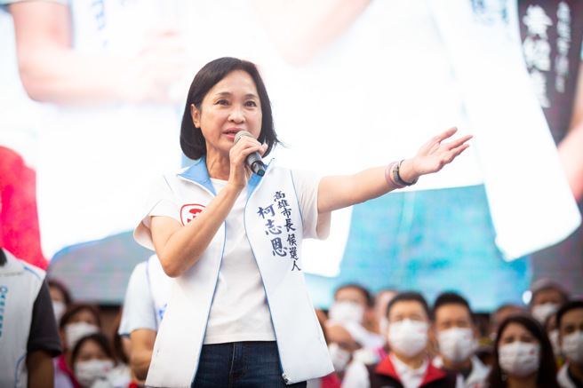 国民党智库执行长柯志恩批民进党，「没人会把超徵讲成经济做的好」。（资料照,袁庭尧摄）