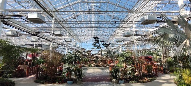 神木农业示范区在沙漠中打造乾净多样性的热带植物与水果。（图／方伟光）