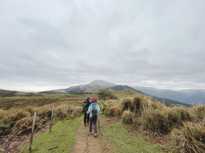 台北盆地四周環山，非常適合單日健行。（攝影／黃政達）