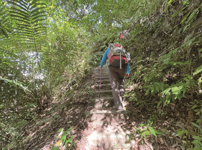 台北郊山的植被富有多樣性，且長年充滿生機，漫步其中既愜意又紓壓。（攝影／YC.H）