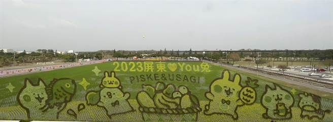 2023屏東熱帶農業博覽會將於14日盛大開幕，當中最令人期待的彩稻「卡娜赫拉的小動物」已經完美成形。（謝佳潾攝）