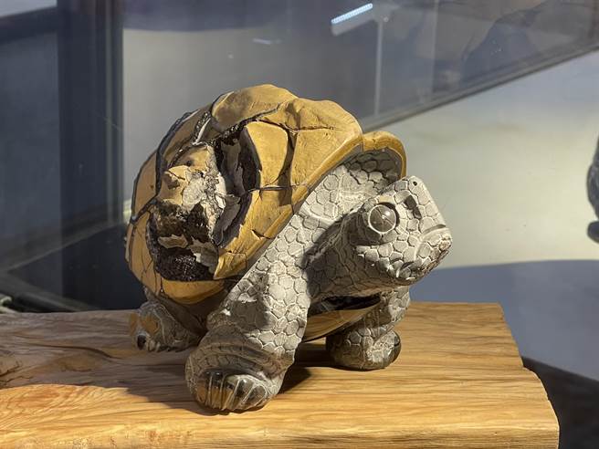 民间信仰中，乌龟是吉祥瑞兽，运用台湾奇石打造的平安龟饶富趣味。（杨静茹摄）