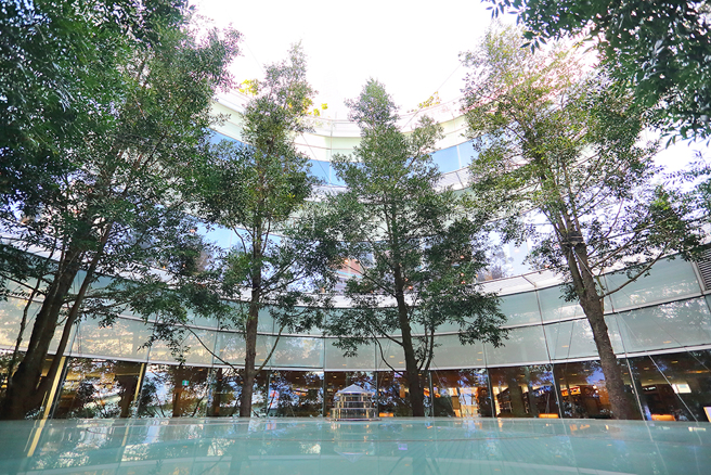 以懸吊式綠建築打造的高雄市立圖書館，「館中有樹、樹中有館」是許多市民的私房景點。(攝影/Carter)