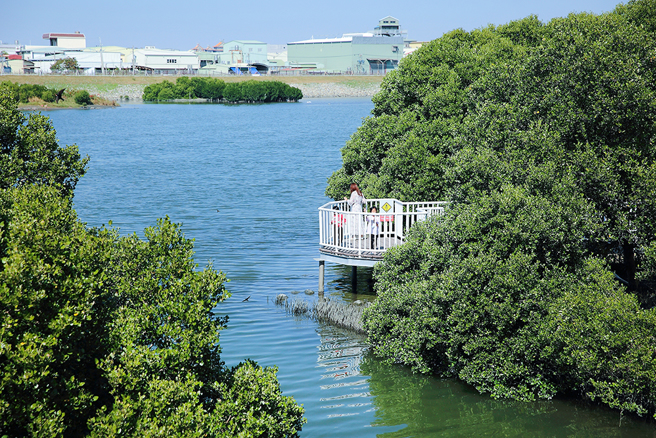 白砂崙湿地里有着二仁溪红树林步道秘境，可以一览超级丰富的潮间带生态。(摄影/Carter)
