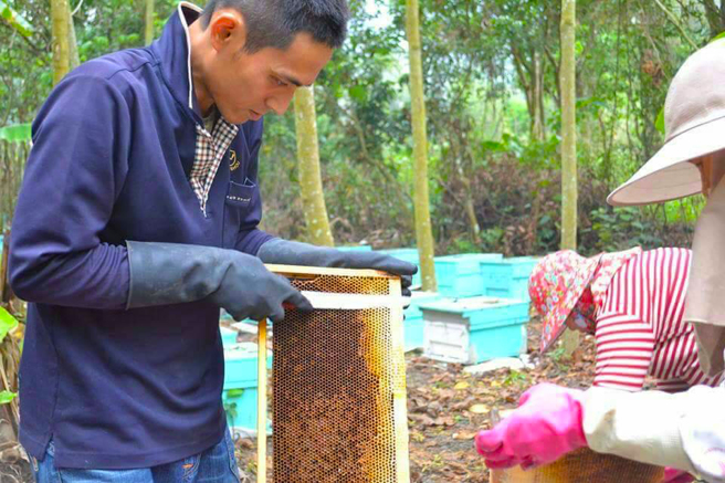 月胜吉传承家里的养蜂事业，养蜂规模平均200箱。(图片提供/满筑蜂蜜&咖啡)