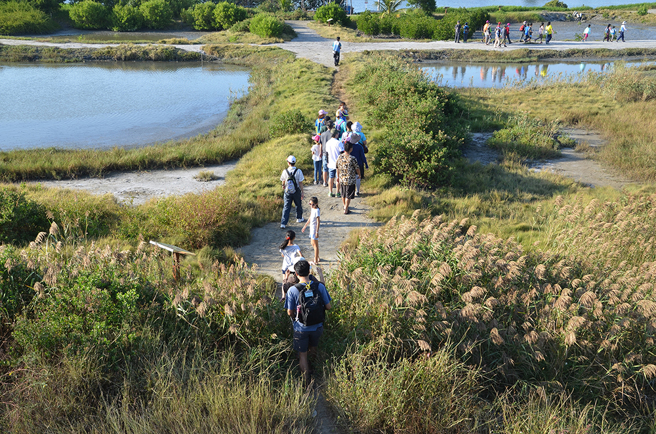 茄萣区白砂崙湿地。(图片提供/高雄市茄萣舢筏协会)