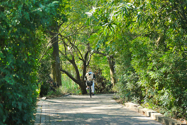 获低碳永续家园银级认证的湖内大湖社区里，有非常宜人的绿色隧道、生态步道。(摄影/Carter)