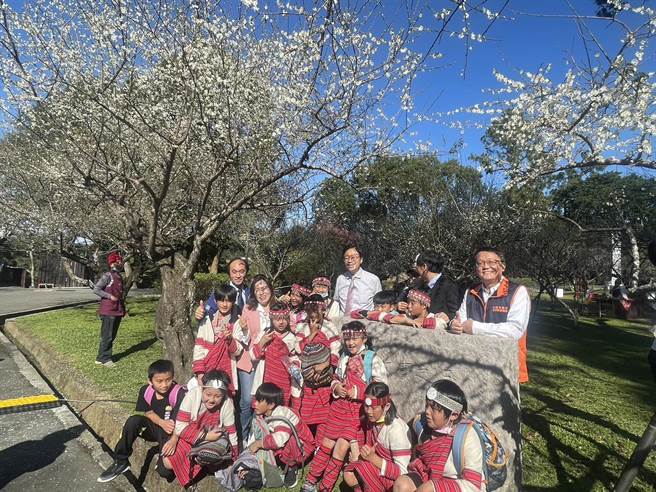 桃園角板山梅花季登場花開約5成。(呂筱蟬攝)