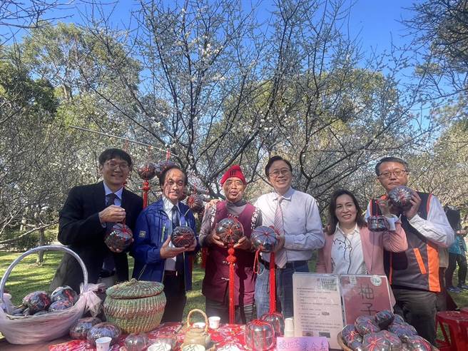 桃園角板山梅花季登場花開約5成。(呂筱蟬攝)