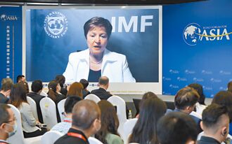 IMF總裁：全球經濟年底有望觸底反彈