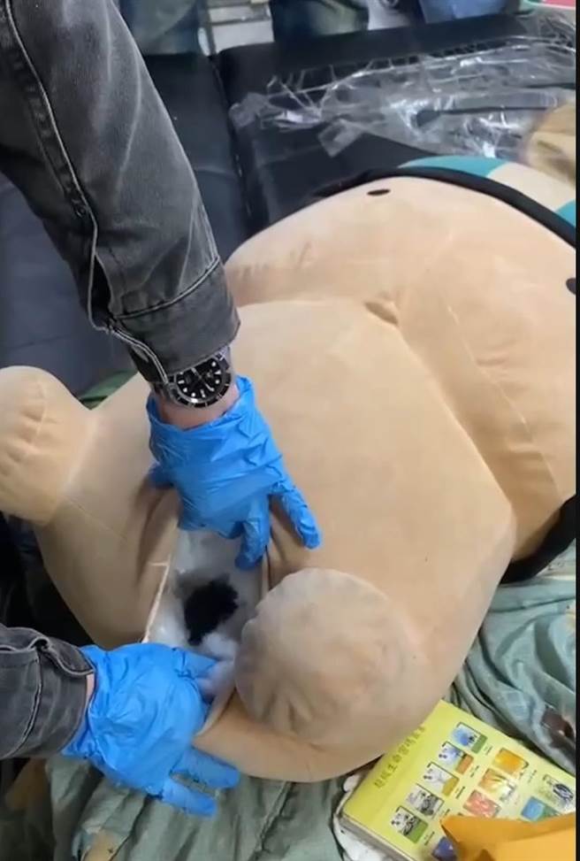 陈嫌在小丁丁娃娃底部挖洞，并将枪枝藏放其中。（警方提供）