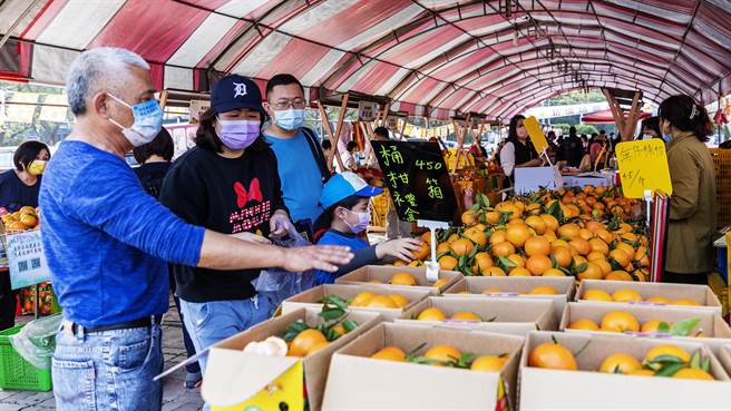 竹县柑桔美食生活节，购买5斤以上柑桔可参加「抽iPhone」活动。（罗浚滨摄）