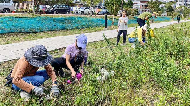 東興圳舉辦台灣百合種植活動，不少大小朋友前來共同栽種台灣百合。（羅浚濱攝）