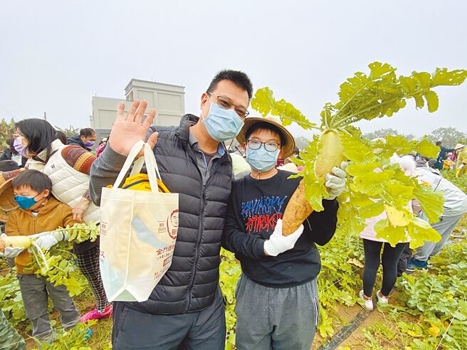 金门县圆头农牧与金湖国小14日上午共同举办「亲子农务拔菜头」活动，体验一日农夫趣，亲子同心协力採收白萝卜。（于家麒摄）