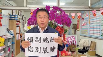 台南投票率僅15.5％ 綠委稱差強人意