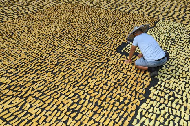 每年曬筍乾，是南投竹山的特別風景。(圖/林格立)