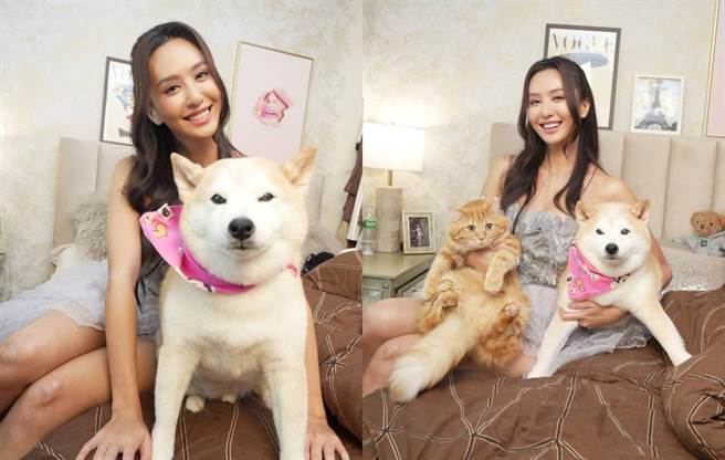 薔薔。（薔薔提供）