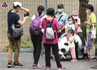 台北社教機構春節活動出爐 動物園送開運金、屬兔免費入兒童新樂園