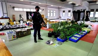 花蓮民宿成大麻工廠設溫室專業培植 警方查獲市價高達2000萬