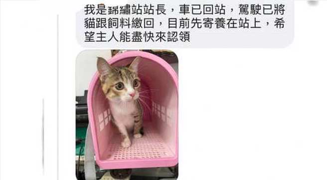 一名妇人日前趁孙子不在家，将家中猫咪丢在公车上弃养。(翻摄自「我们是新店人!!好山好水，就是爱新店」FB)