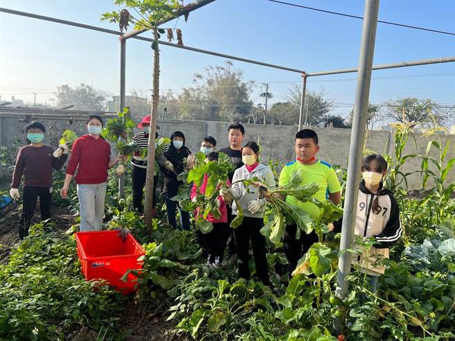 彰化香田国小校园飘起阵阵菜头粿香，一早小朋友就到校园捡拾树枝，清洗锅具准备「炊粿」，还有人到菜园拔菜头，从清洗、刨丝到炒配料、磨米浆等，样样难不倒。（香田国小提供／吴建辉彰化传真）
