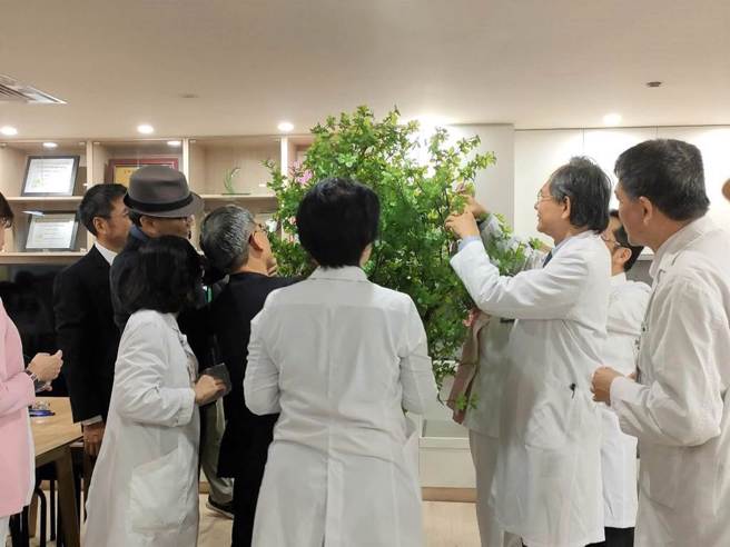 台中榮民總醫院緩和療護病房整修完成，17日上午10時舉辦開幕儀式，參與貴賓寫下心願小卡並掛上許願樹。（潘虹恩攝）