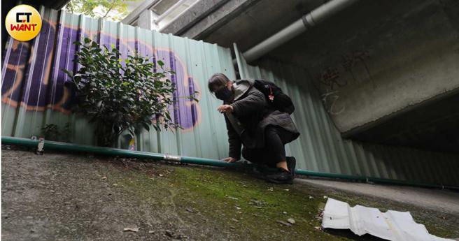 阿国所住的地方远比重新桥的「室友」们更难抵达，除了得垂直爬上坡外，还需再沿着坡度水平前进一段路途才能抵达。（图／周志龙摄）