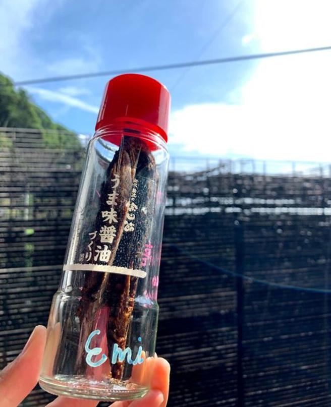 ▲DIY制作宗田节鲣鱼酱油瓶成品。　图：高知县国际观光课／提供