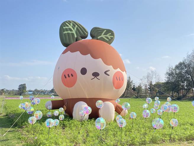 农试所吉祥物「安直兔」甜蜜登场，搭配五彩缤纷风车墙，将成为拍照打卡的新热点。(于家麒摄)