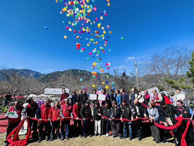 许淑华、全志坚等贵宾合力拉开大彩球，宣告草坪头樱花季开锣。（廖志晃摄）