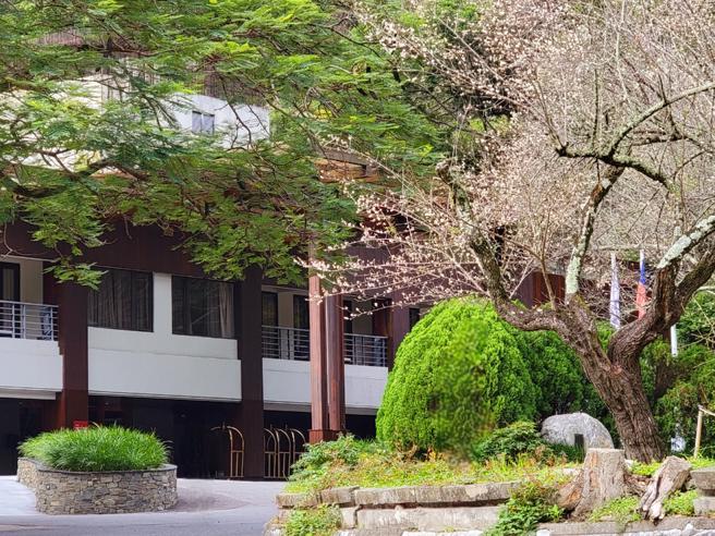 每逢花季，太鲁阁晶英酒店前方即有整片花海美景。（太鲁阁晶英酒店提供）