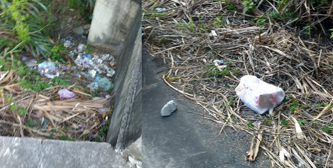 「日本人的欧吉桑」拍下多张照片，呼吁大家不要再乱丢垃圾。（图／日本人的欧吉桑授权使用）