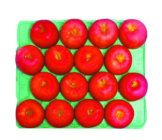 家樂福日本青森縣蜜富士禮盒，每盒16粒，1266元。（家樂福提供）