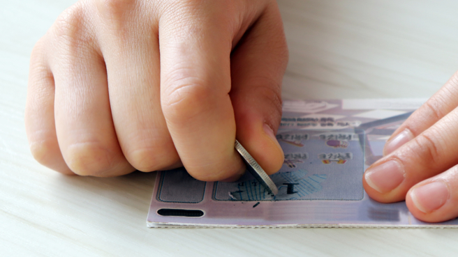 生肖马、生肖猪、生肖兔运势将由黑翻红。（示意图／Shutterstock）