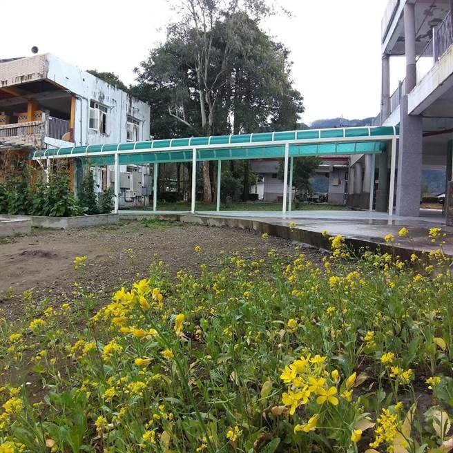 经过４个多月，春日国小已重建逐步恢復校园样貌。（县府提供）