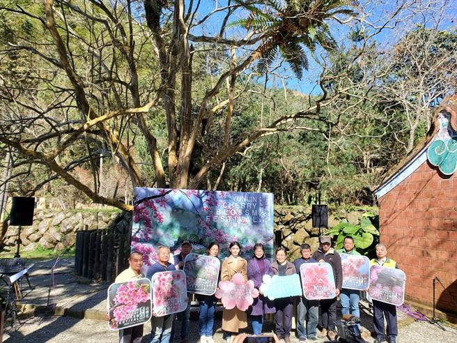 云林县府文化观光处结合古坑乡公所、石壁社区发展协会、草岭社区发展协会、草岭观光协会、草石山休閒农业区发展协会共同举办2023云林草岭樱花季，今（19日）在石壁的九芎神木景点举行记者会，建议赏樱期是2月1日至3月5日。（周丽兰摄）