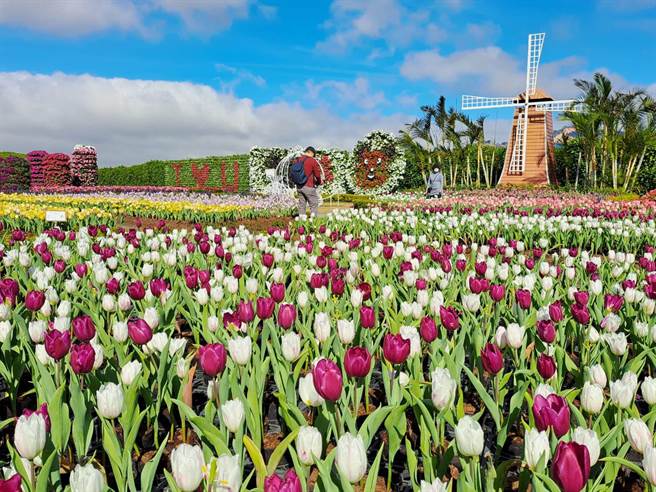 农历春节民眾到山城骑自行车外，还可到中社花市赏花。(陈世宗摄)