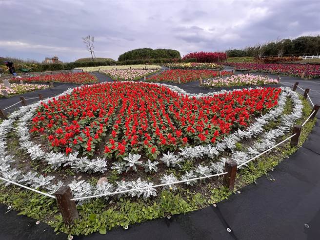 七星潭曼波园区2万株各样花草盛开，民眾可以前往走春赏花。（花莲县府农业处提供／王志伟花莲传真）