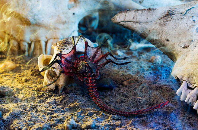 英国女子遛狗时赫见诡异的生物遗骸，与《异形》中的「抱脸虫」特徵有几分神似。（示意图／达志影像）