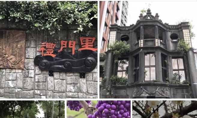 左化鹏》汐止礼门里公园寻梅。（图／爱传媒）