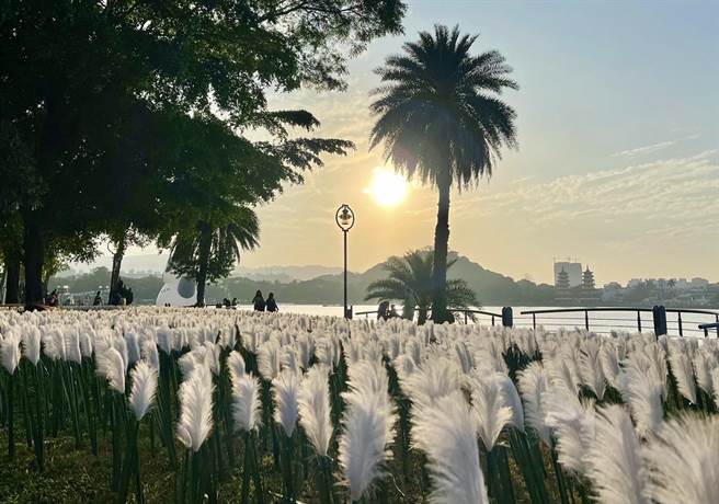 高雄蓮潭燈會作品亮相，初二回娘家左營兒女搶先看。(高市府提供)