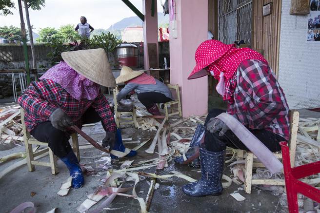 新社香蕉絲工坊成員正在刮香蕉絲。（黃子明攝）