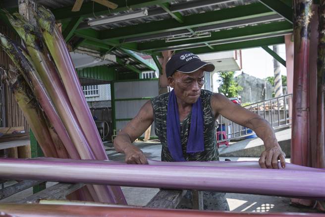 新社香蕉絲工坊唯一男性工作人員張春山（見圖）正在剝香蕉葉鞘，以備刮絲；他本身為阿美族人，負責砍伐香蕉樹。（黃子明攝）