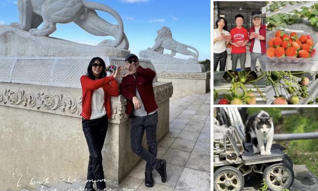 藺奕》春節返鄉恐懼症