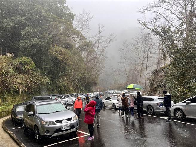 桃园拉拉山今天下午传出下雪及下冰霰。(桃园市观旅局提供／吕筱蝉桃园传真)