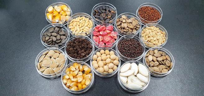 平台检测服务项目涵盖十字花科、茄科及葫芦科等重要作物类别。（种苗场提供）