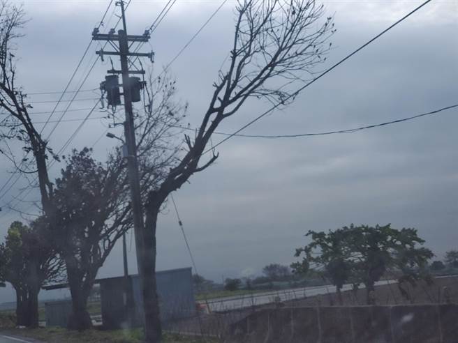 昨天（24日）寒流来袭，东北季风强劲，诱发浊水溪扬尘污染，图为西螺镇与莿桐乡交界处沙尘暴情形。（周丽兰摄）