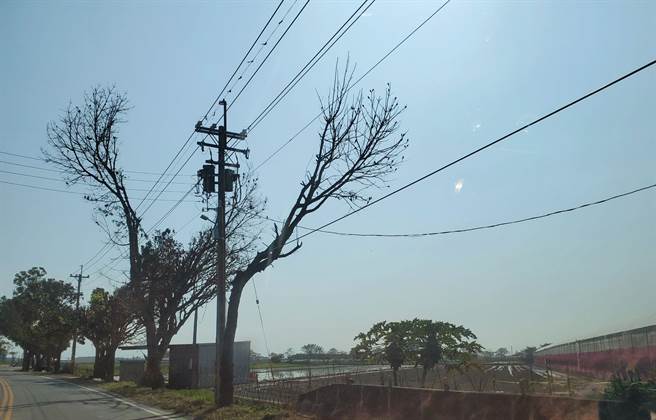 今日（25日）东北季风减弱，浊水溪沿岸扬尘污染也减弱至正常。（周丽兰摄）