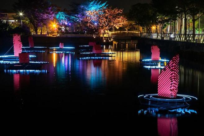 六甲落羽松及花海。　圖：臺南市政府觀光旅遊局觀光行銷科／提供