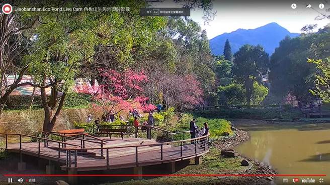 15支高解析即时影像影像及线上直播技术，可即时呈现景点人潮和现况影像。(翻摄自桃园观光导览网／蔡依珍桃园传真)